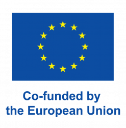 european union cofunded